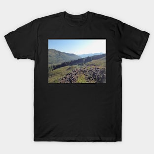 View Towards the Arrochar Alps T-Shirt